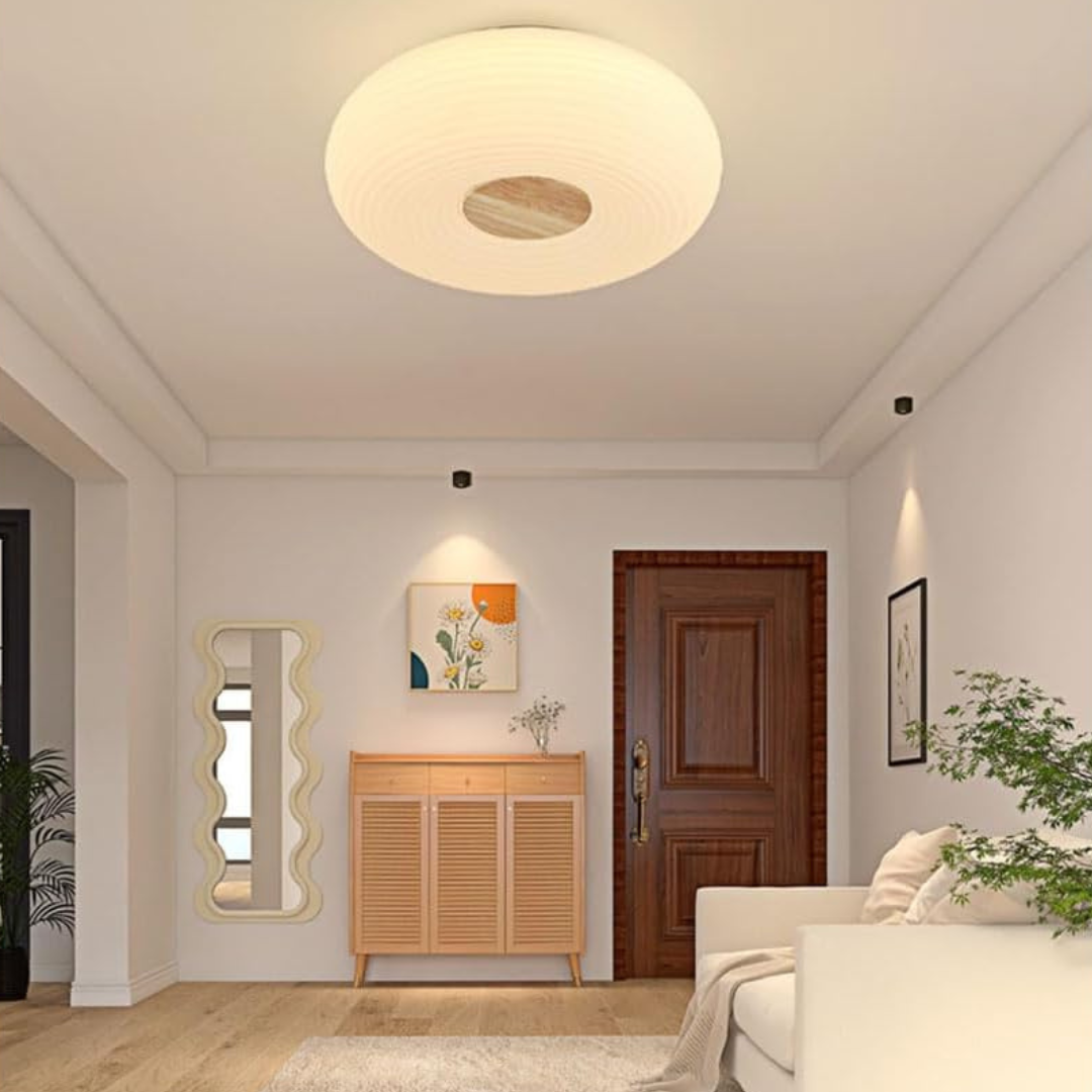 Tapion - Modern LED Ceiling Lamp