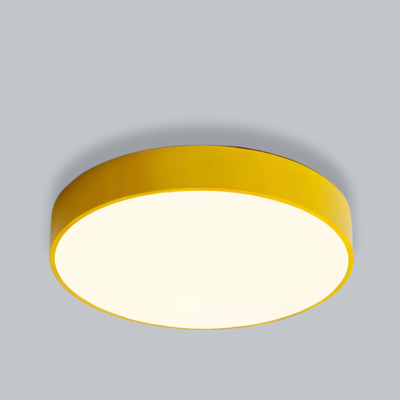 Iserene - Dimmerable Round LED Ceiling Lamp