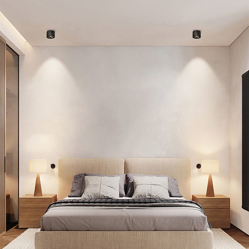 Alira - Lampada a soffitto LED cilindrica regolabile incassata