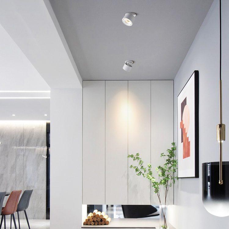 Alira - Lampada a soffitto LED cilindrica regolabile incassata