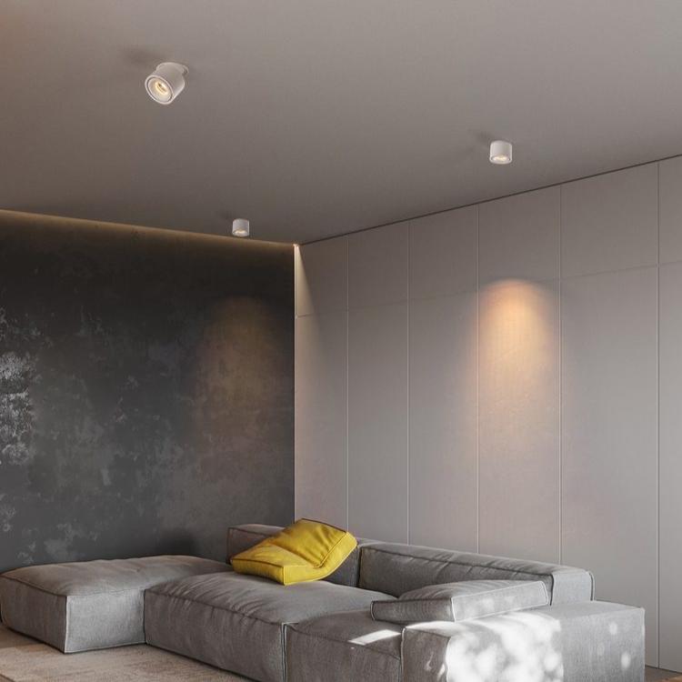 Alira - Lampada a soffitto LED cilindrica regolabile incassata