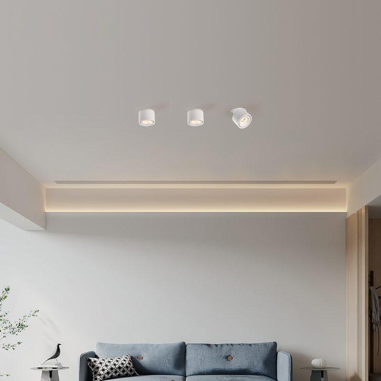 Alira - Lampada a soffitto LED cilindrica regolabile incassata