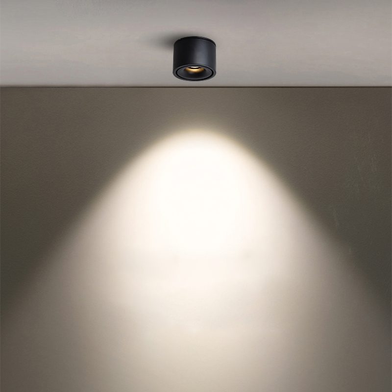 Alira - Lampada a soffitto LED cilindrica regolabile incassata