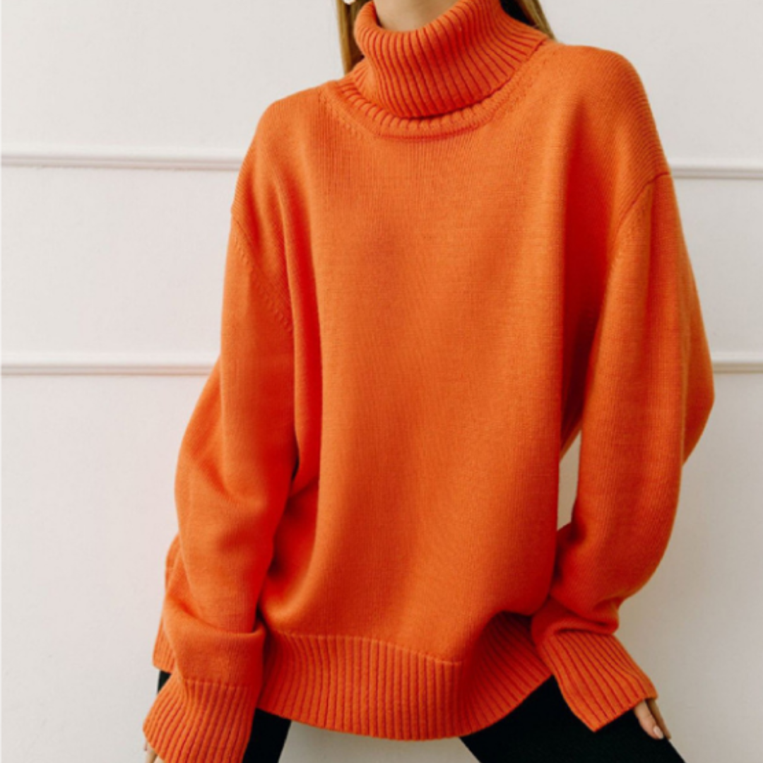 Elkein | Women's Modern Roll Neck Sweater