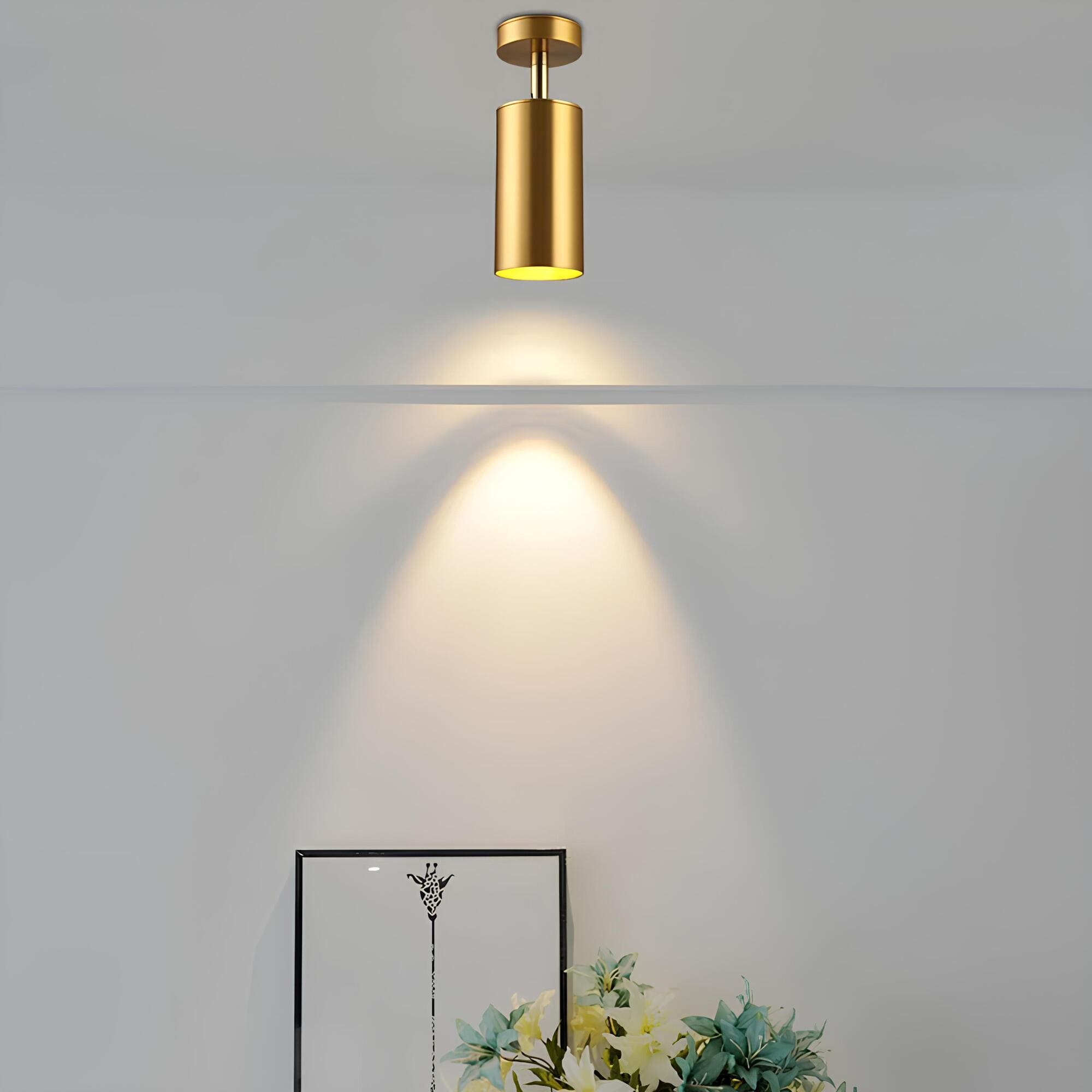 Olenia - Lampada a soffitto LED moderna e regolabile con braccia orientabili
