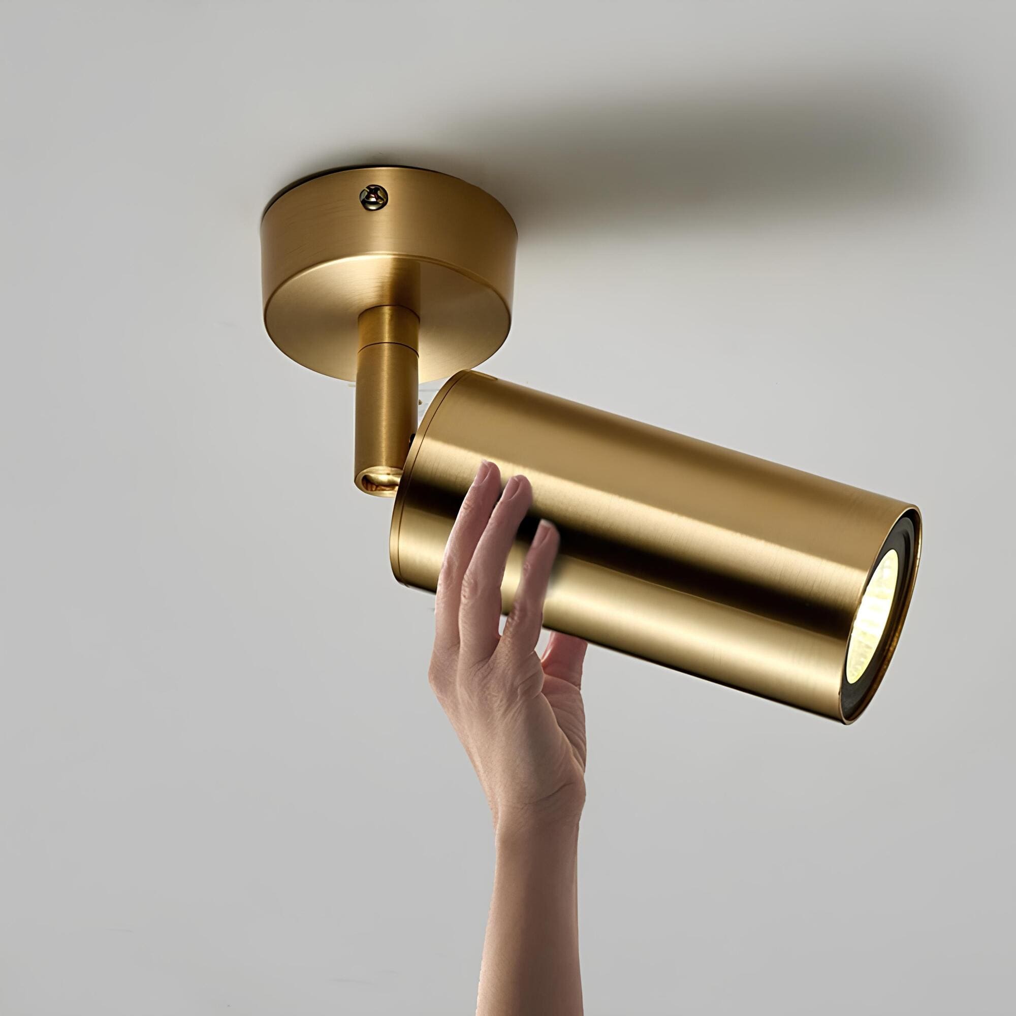 Olenia - Lampada a soffitto LED moderna e regolabile con braccia orientabili